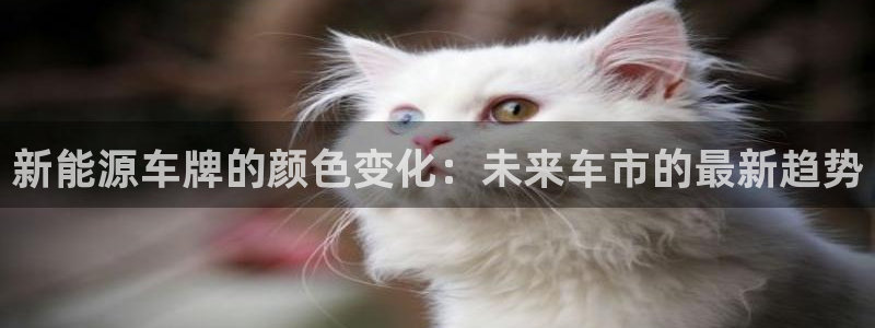 球盟会下载最新版