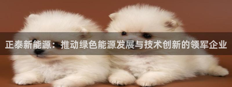 球盟会黑:正泰新能源:推动绿色能源发展与技术创新的领军企业