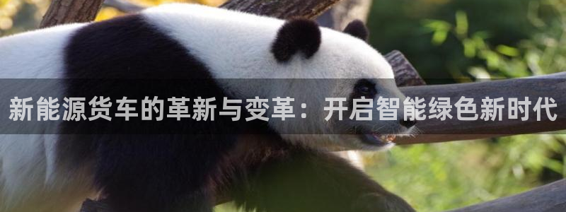 球盟会官方入口：新能源货车的革新与变革：