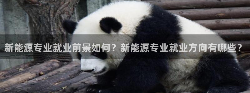 球盟会在线官网