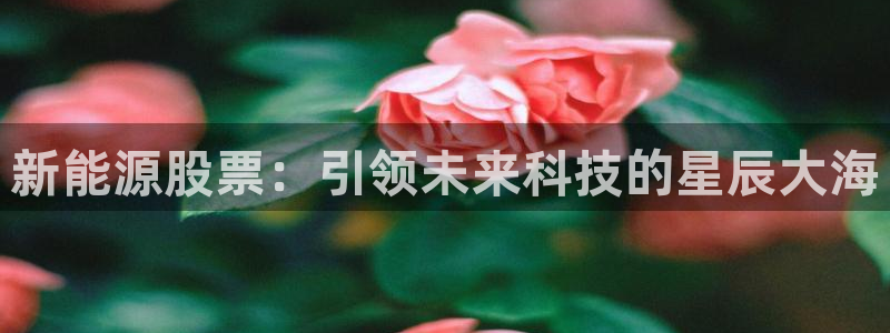 球盟会登陆中心