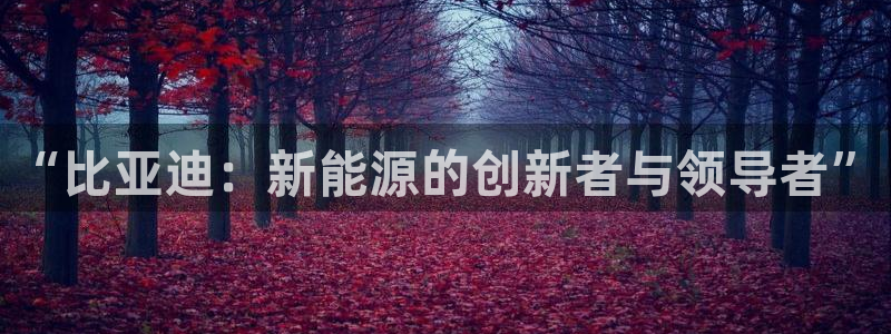 球盟会和中欧会的区别：“比亚迪：新能源的