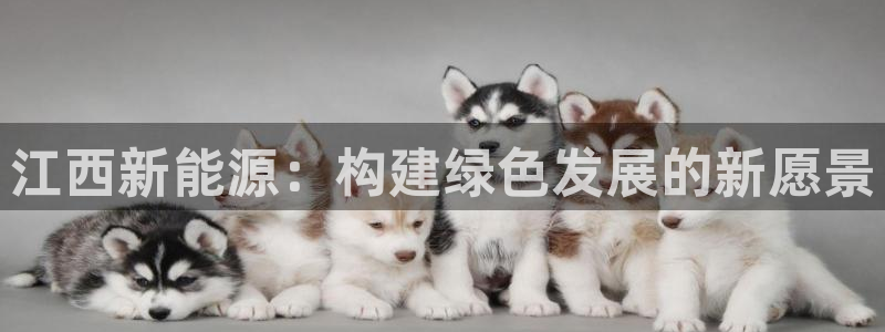 球盟会官方平台入口