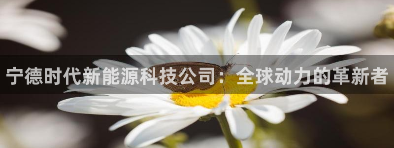 球盟会黑台子