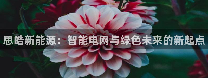 球盟会网页登录app下载地址