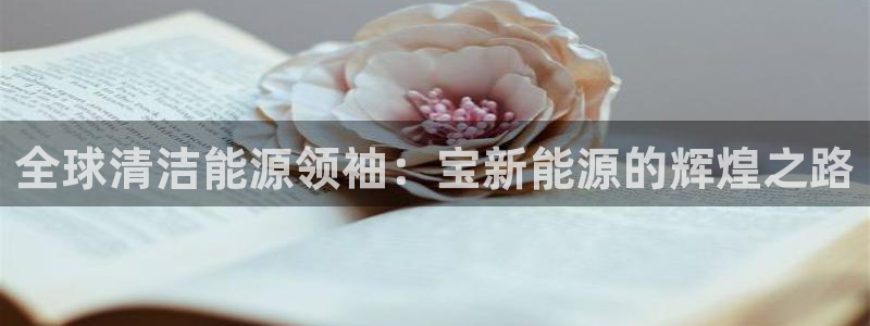 球盟会进不去吗