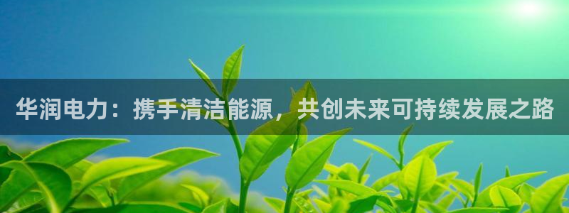 球盟会可以提现么：华润电力：携手清洁能源