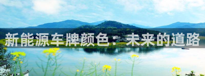 球盟会综合app下载：新能源车牌颜色：未